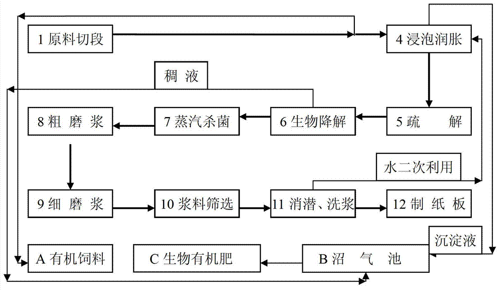 Compound bacterium used for pulping biological bacterium fluid and application of compound bacterium