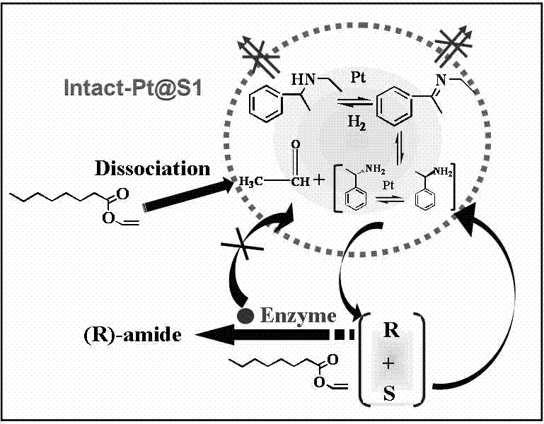 Method for effectively separating raceme and preparing homochiral substance