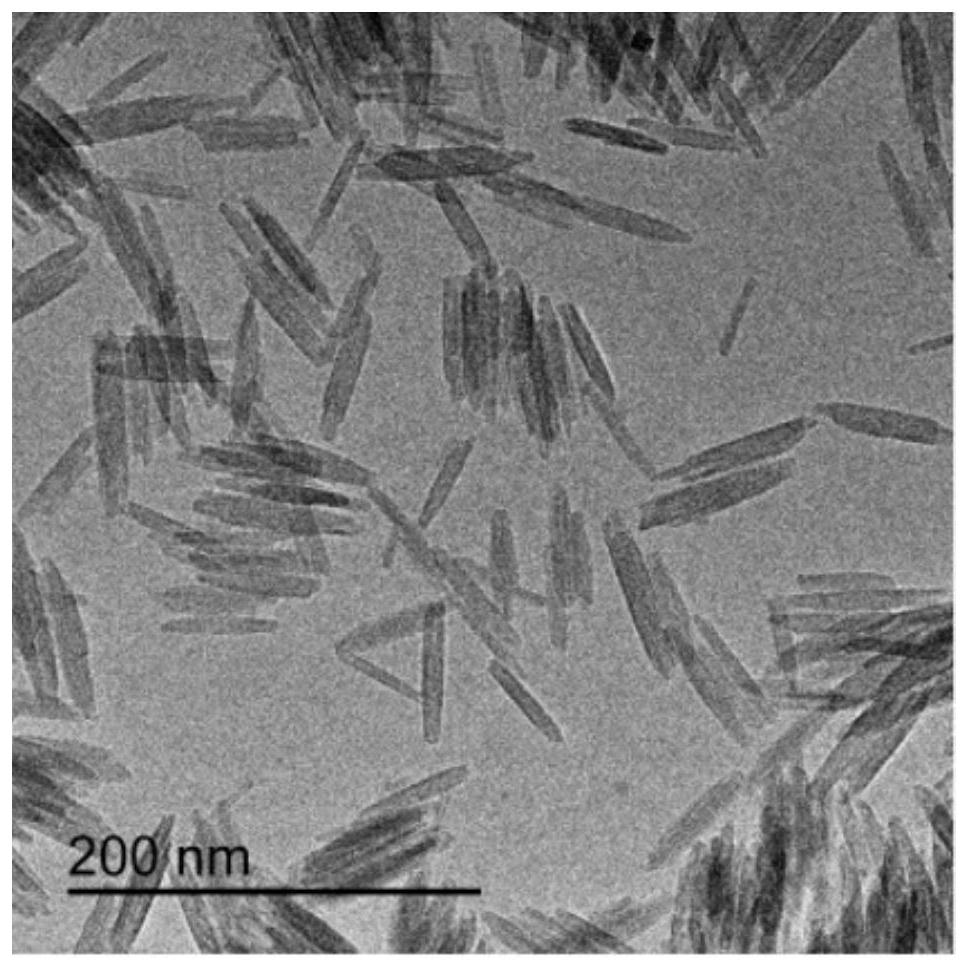 Beta-FeOOH nanorod and preparation method thereof