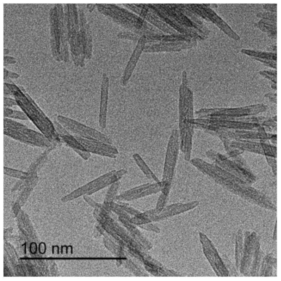 Beta-FeOOH nanorod and preparation method thereof