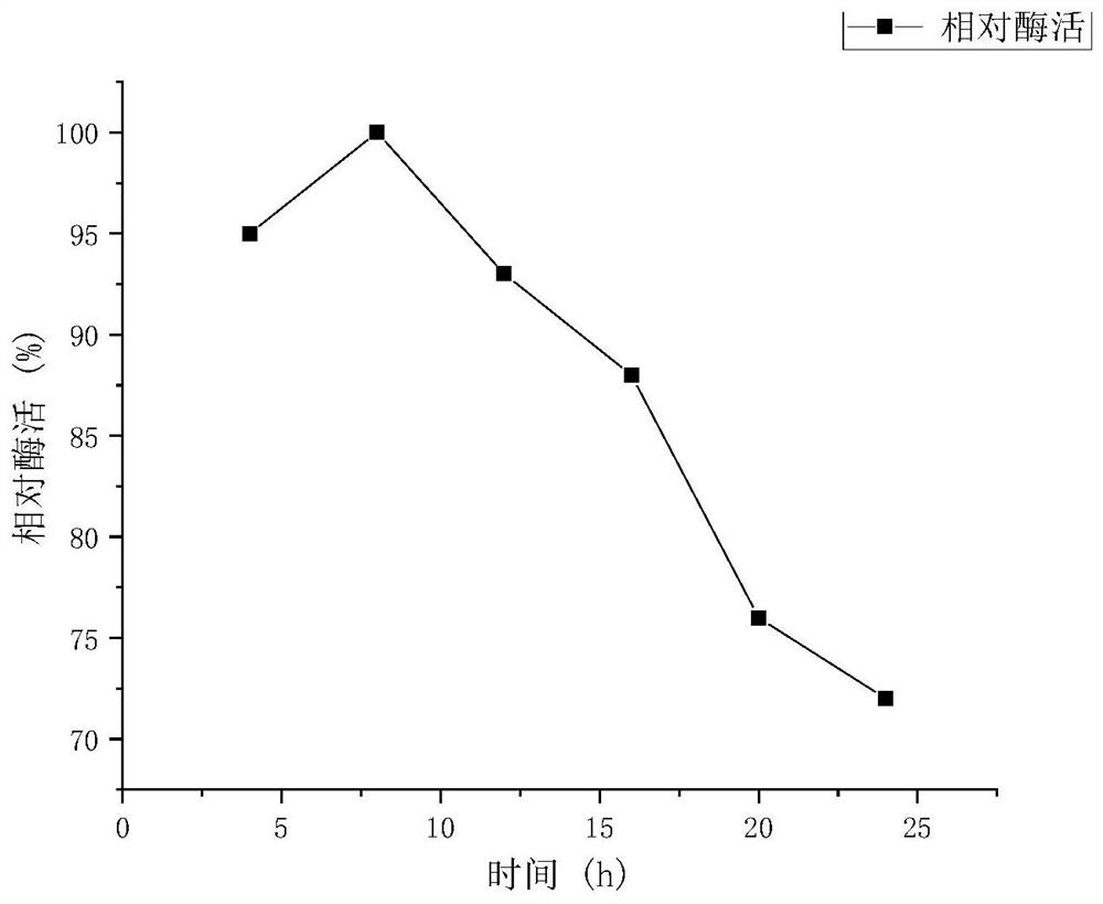 Chemically modified xylanase and preparation method and application thereof