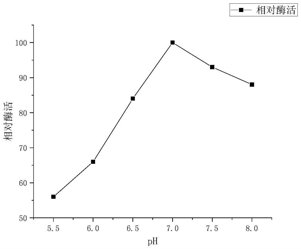 Chemically modified xylanase and preparation method and application thereof