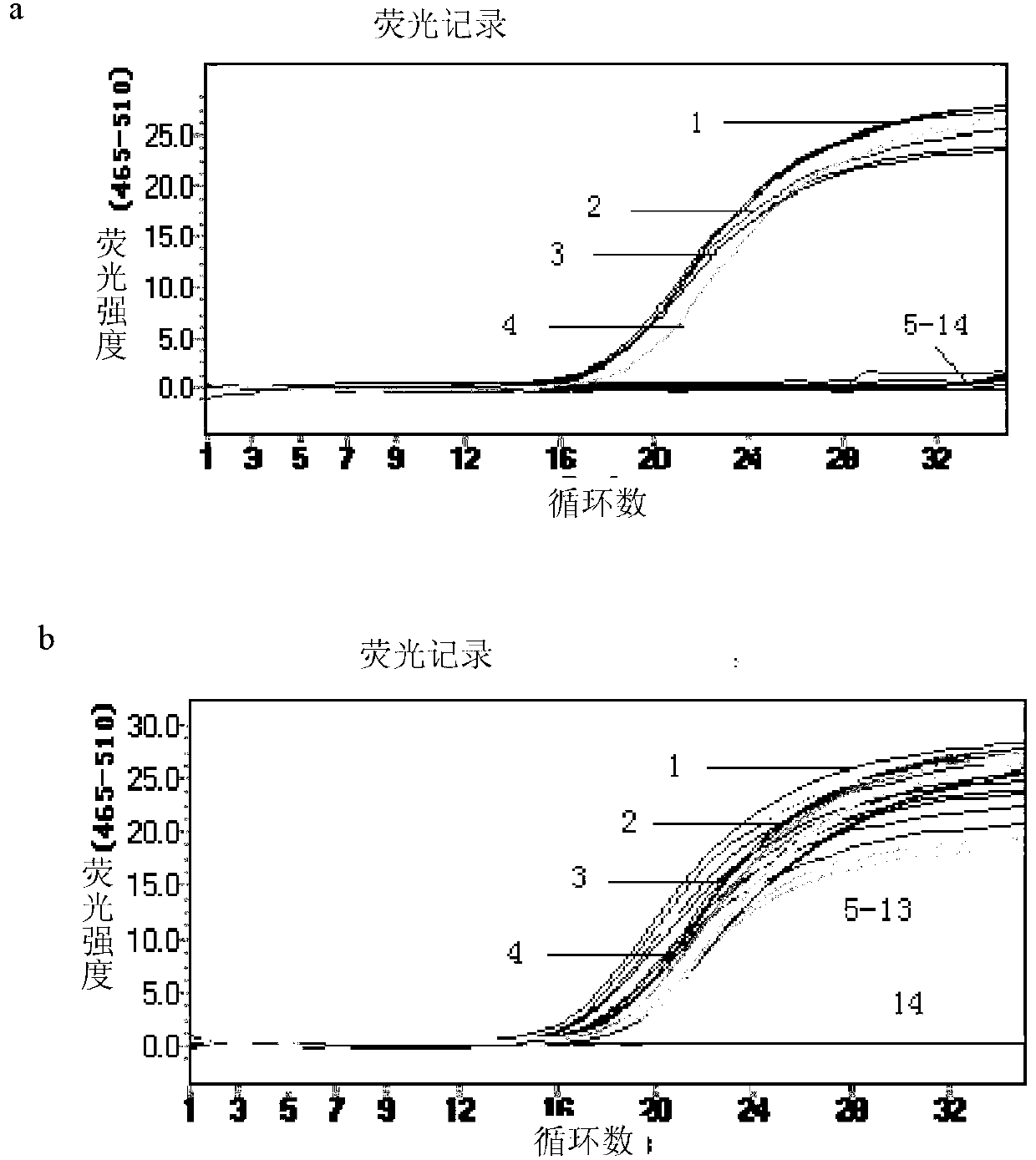 Method for detecting bovine-derived materials in meat and meat products