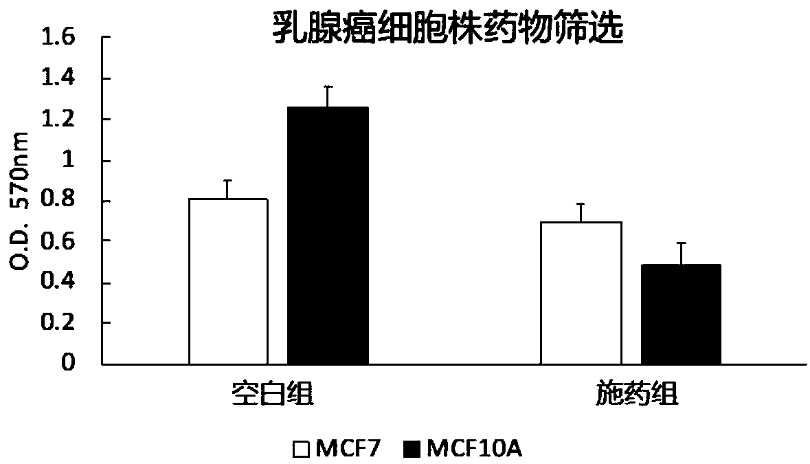 Screening model of anti-breast cancer tumor drug