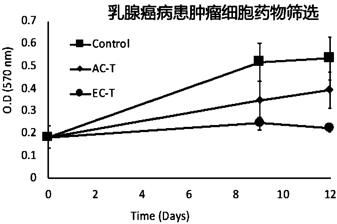 Screening model of anti-breast cancer tumor drug