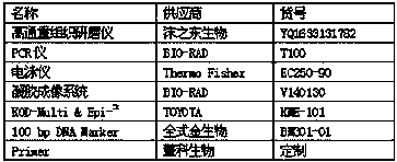 Multiple PCR (Polymerase Chain Reaction) kit for quickly identifying plant hopper species and identifying method thereof