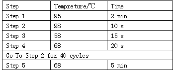 Multiple PCR (Polymerase Chain Reaction) kit for quickly identifying plant hopper species and identifying method thereof