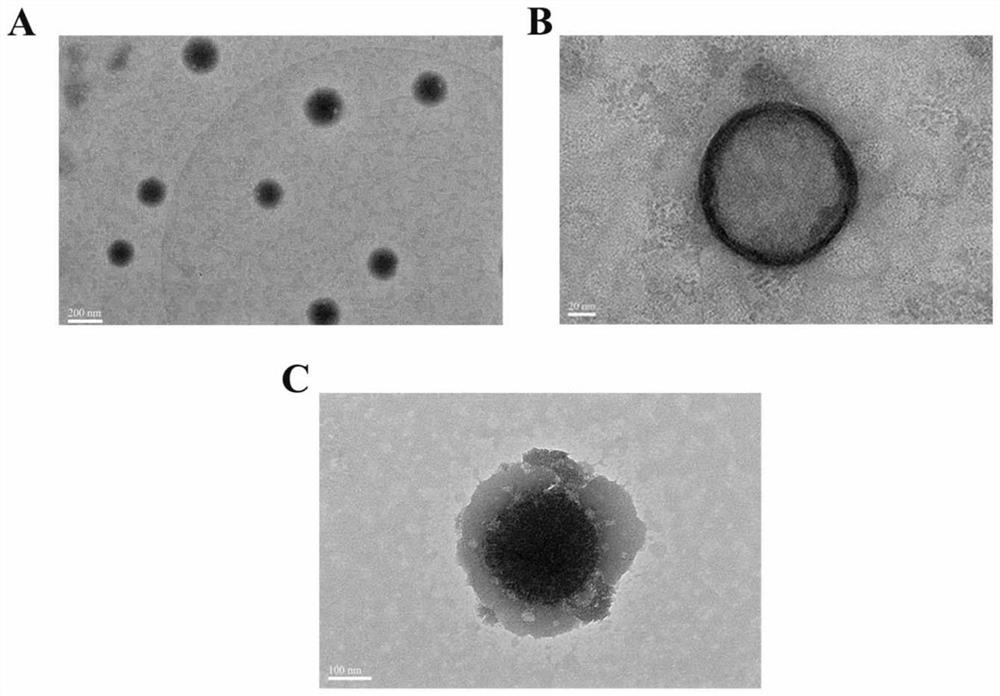 A cationic liposome modified with hyaluronic acid, preparation method and application thereof