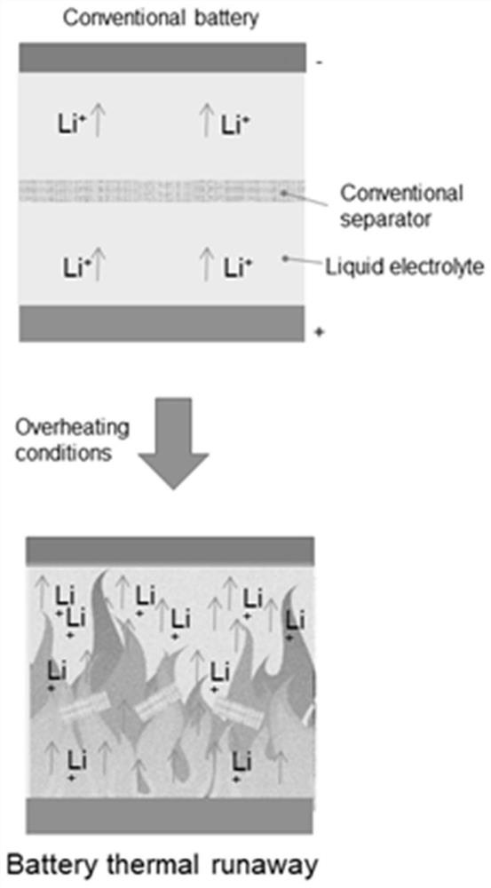 Lithium ion battery