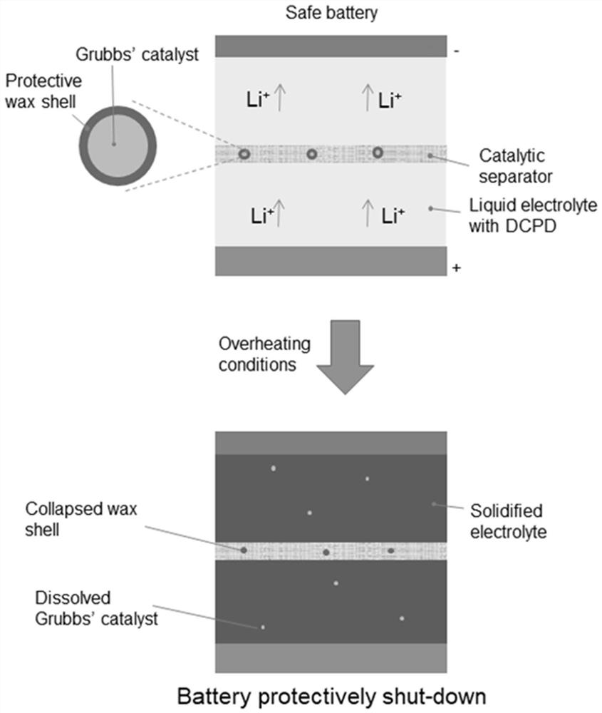 Lithium ion battery