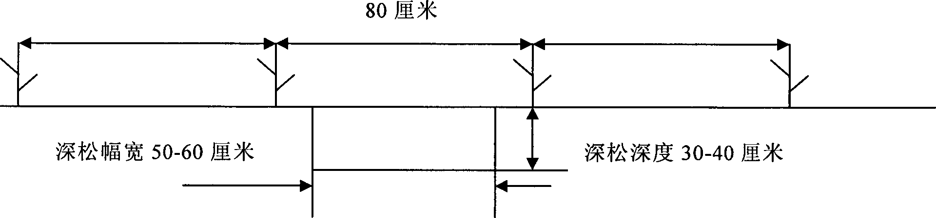 Wide-row flat planting protective tillage planting method for maizes