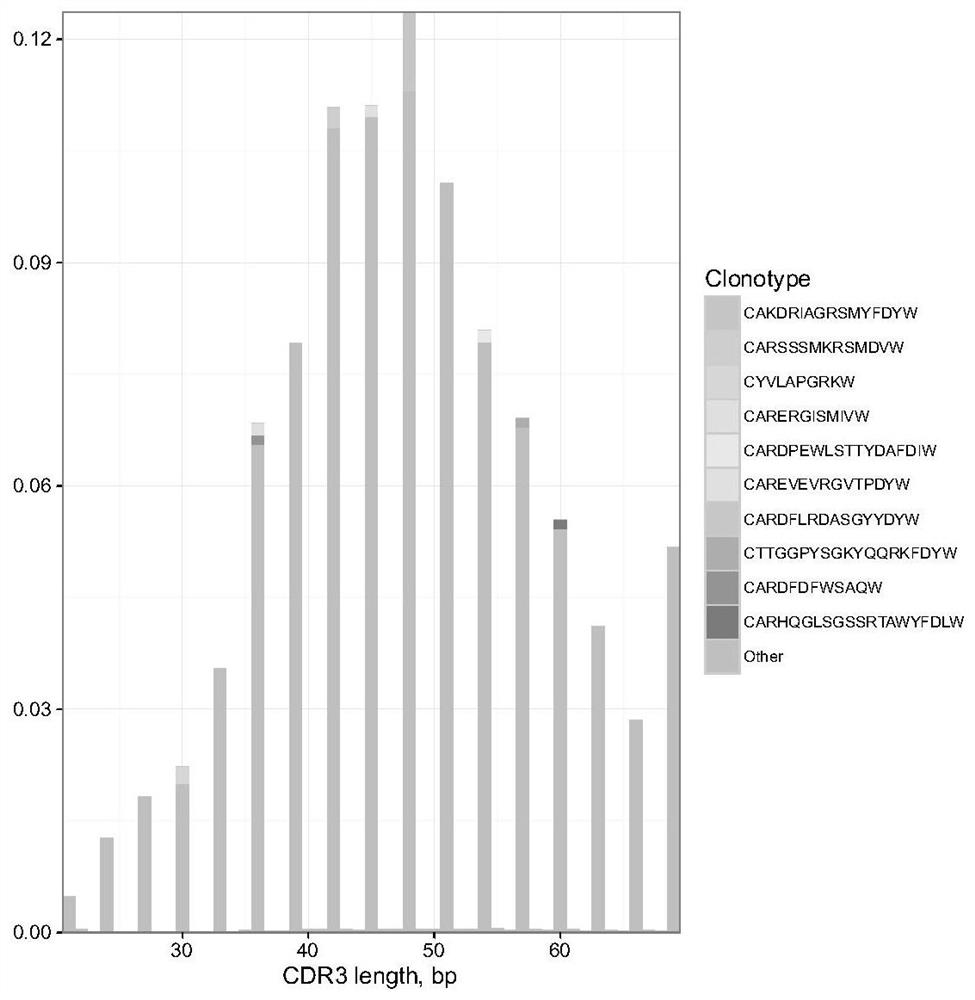 Multiple primer set and method for constructing human b-cell immune repertoire based on high-throughput sequencing using the primer set