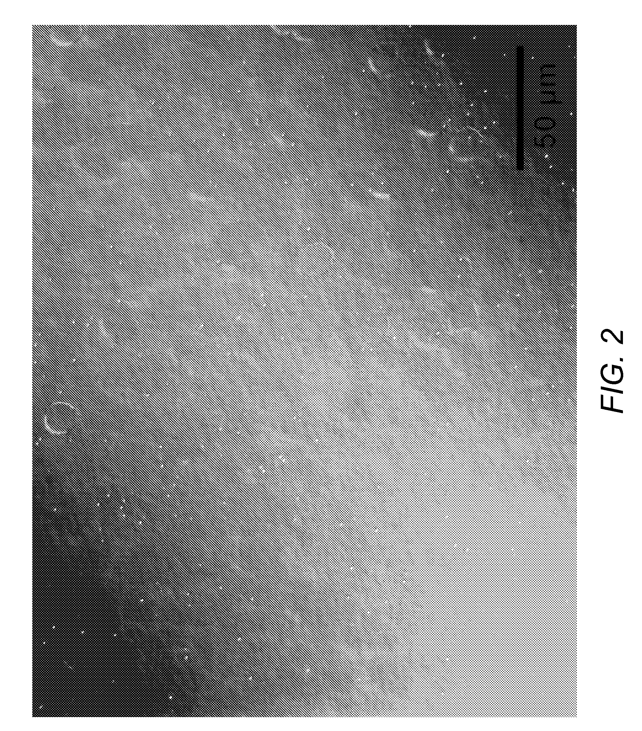 Method of controlling stress in gallium nitride films deposited on substrates