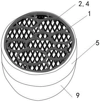 Sterilization balls removing pesticide residues, bacteria and pathogenic bacteria and sterilization method thereof