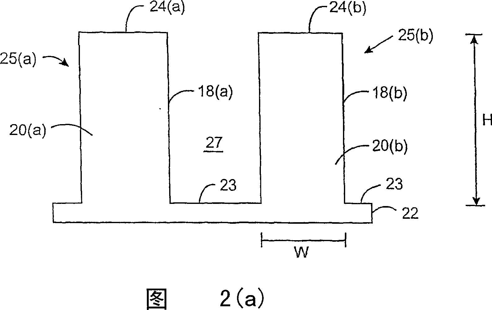 Chips for biological or chemical analysis, apparatus and method for processing fluid