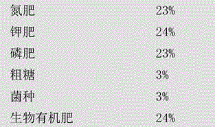 Strain-coated organic fertilizer and preparation method thereof