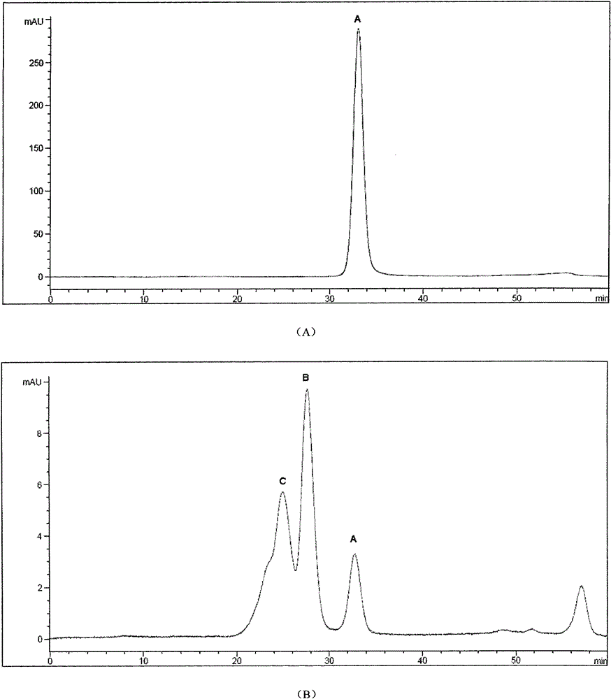 Polyethylene glycol dog source urate oxidase analogue, and preparation method and applications thereof