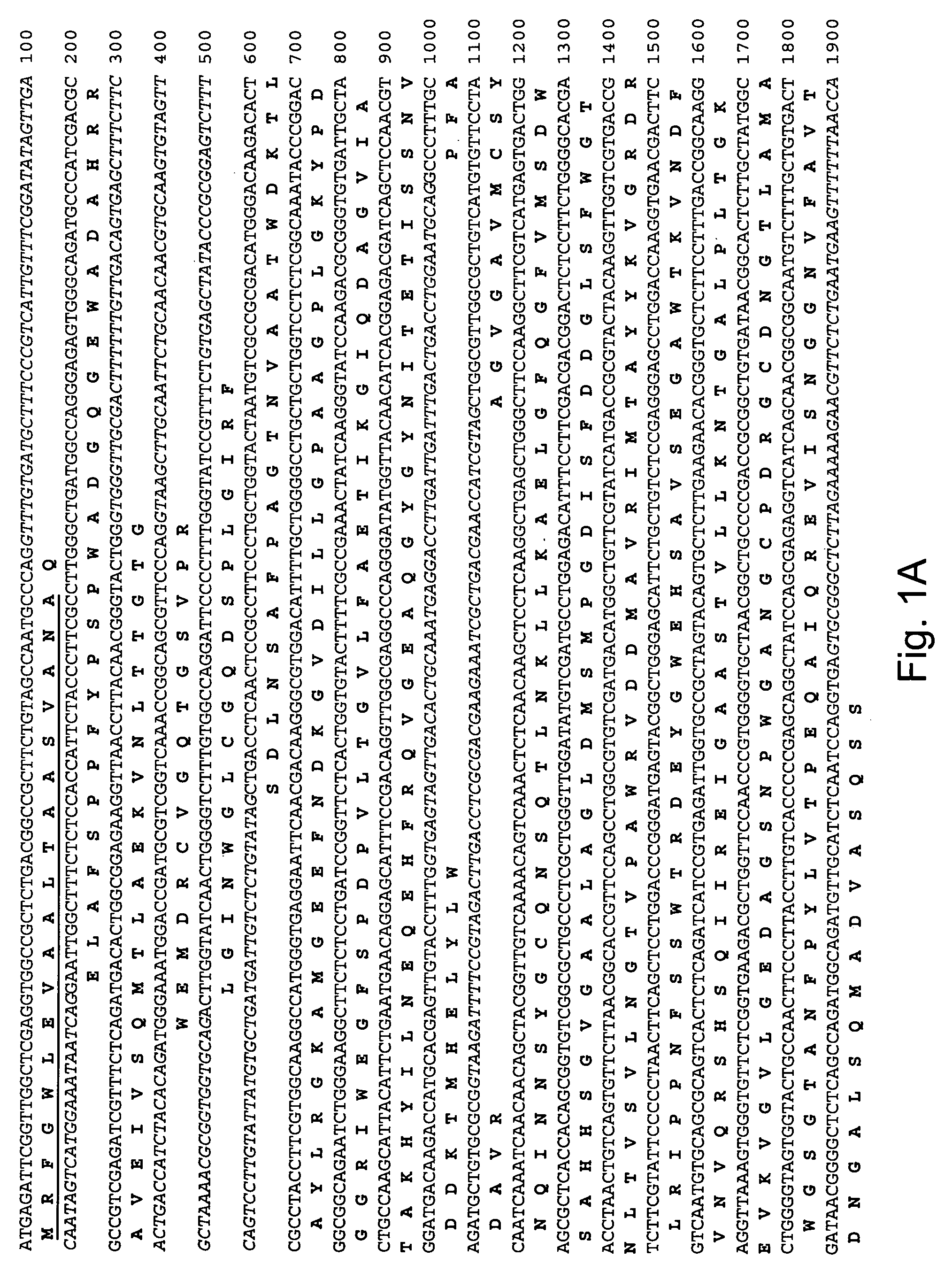 Polypeptides having beta-glucosidase activity and polynucleotides encoding same