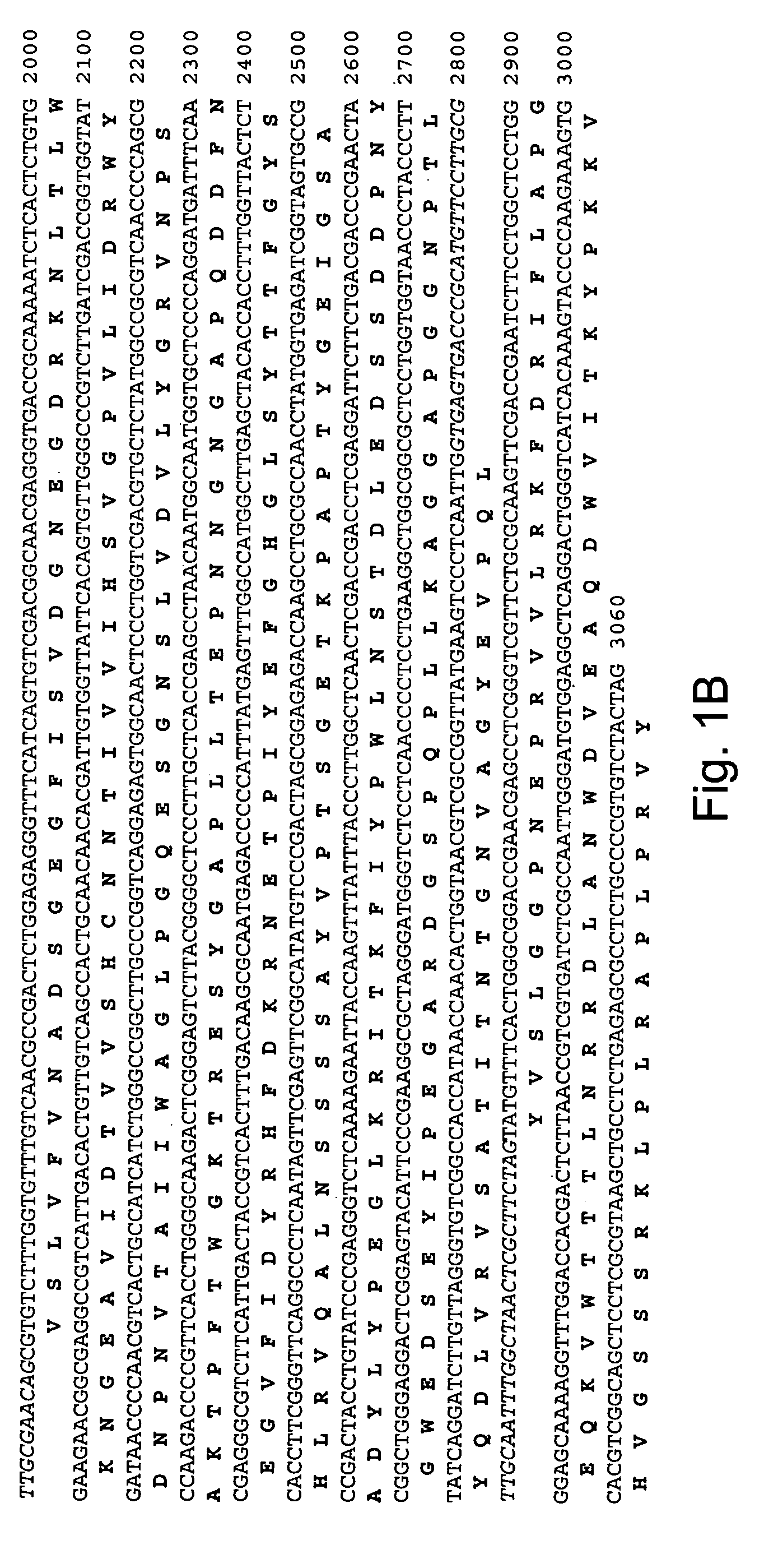 Polypeptides having beta-glucosidase activity and polynucleotides encoding same