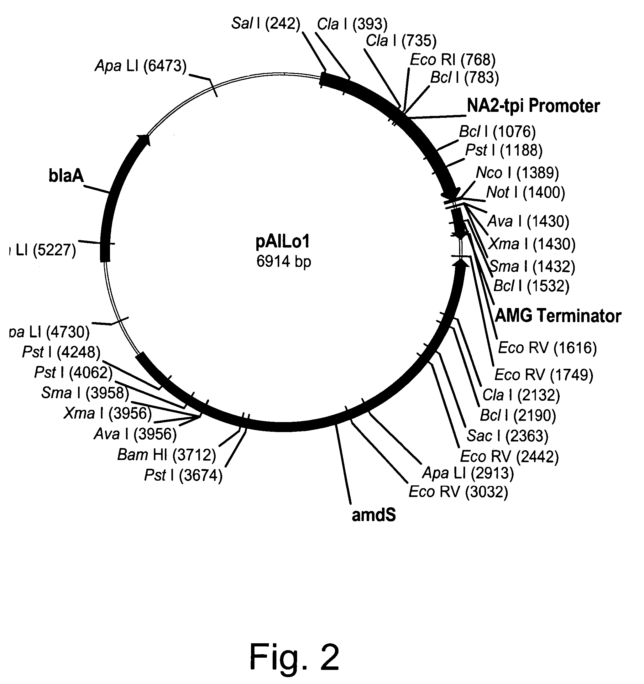 Polypeptides having beta-glucosidase activity and polynucleotides encoding same