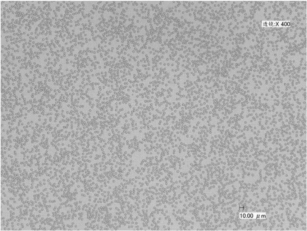 Polymer particle and method for producing the same