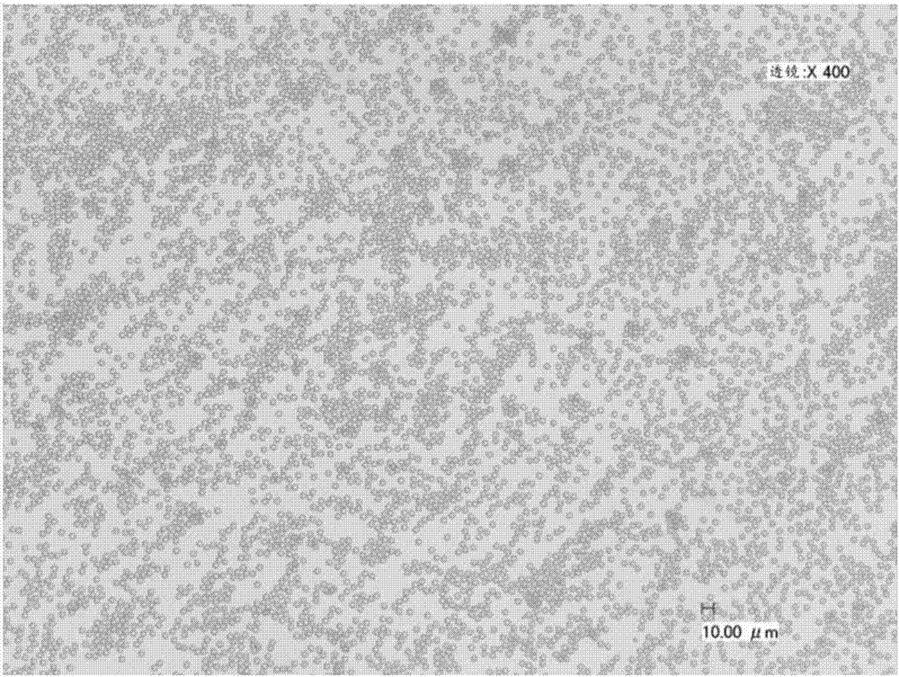 Polymer particle and method for producing the same