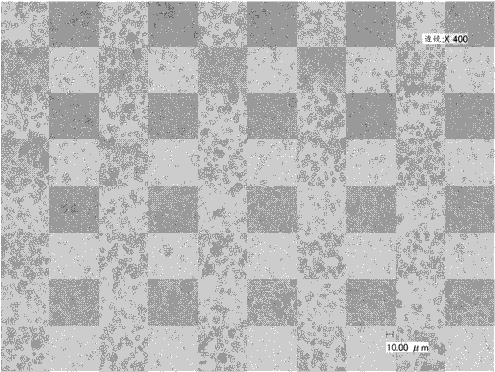 Polymer particle and method for producing the same