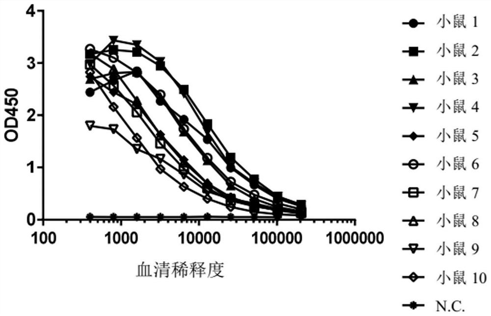 Liquid composition comprising monoclonal antibody against thymic stromal lymphopoietin