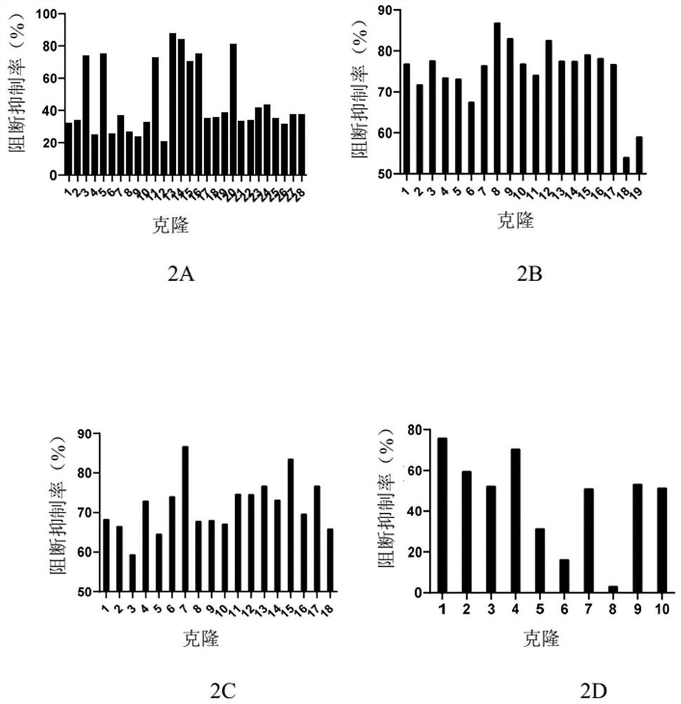 Liquid composition comprising monoclonal antibody against thymic stromal lymphopoietin