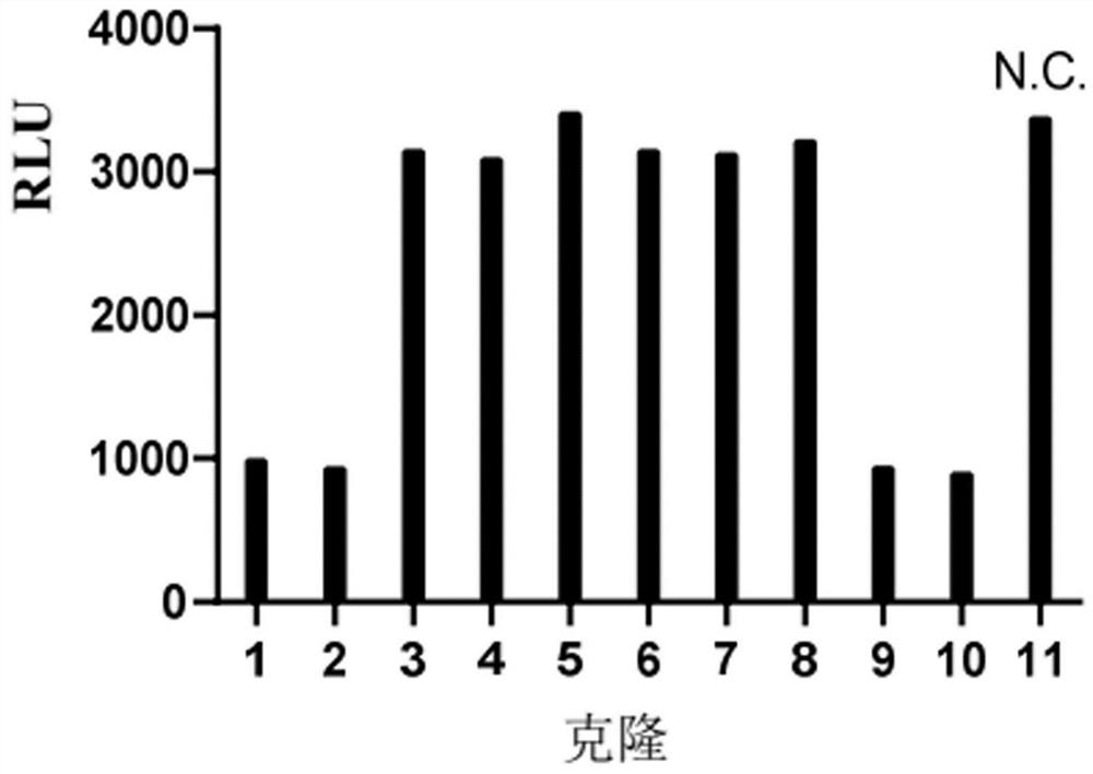 Liquid composition comprising monoclonal antibody against thymic stromal lymphopoietin