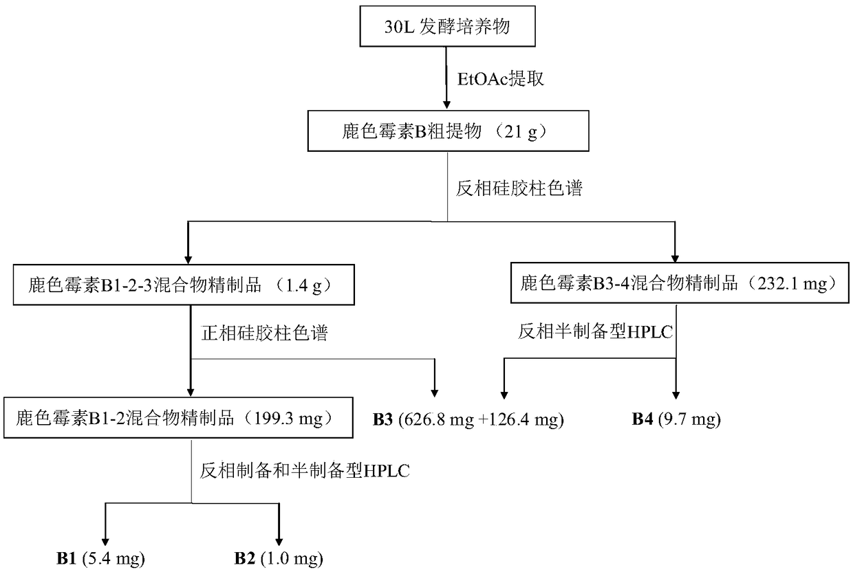 Cervinomycin B1, B2, B3 and B4 and production method and application thereof