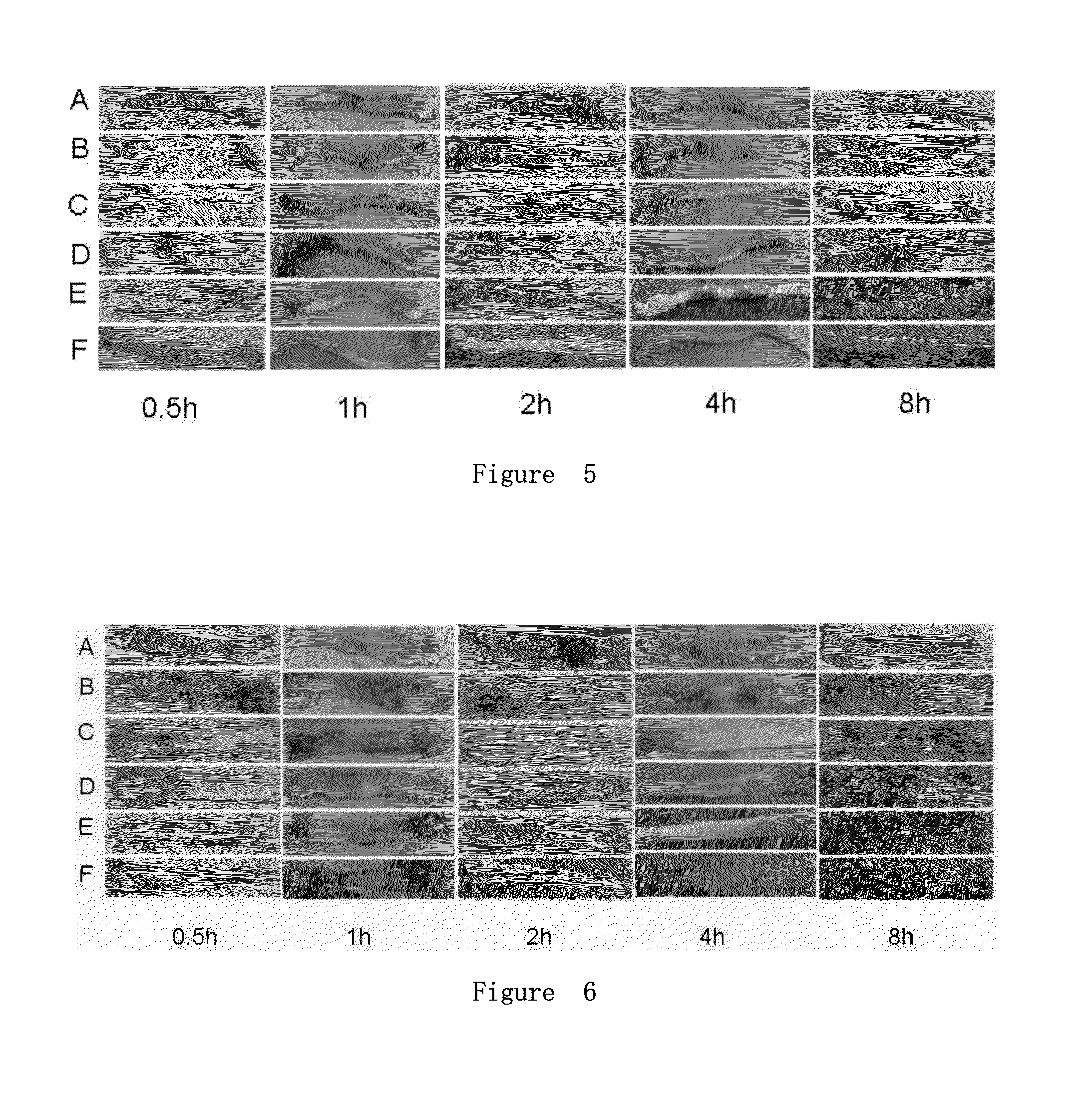 Use of <i>salmonella </i>flagellin derivative in preparation of drug for preventing and treating inflammatory bowel diseases