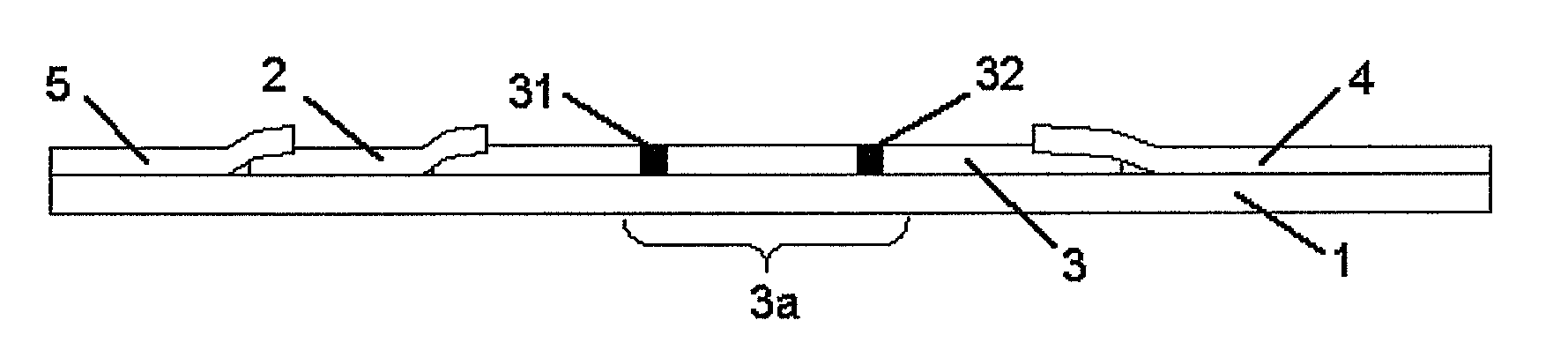 Immunochromatography method