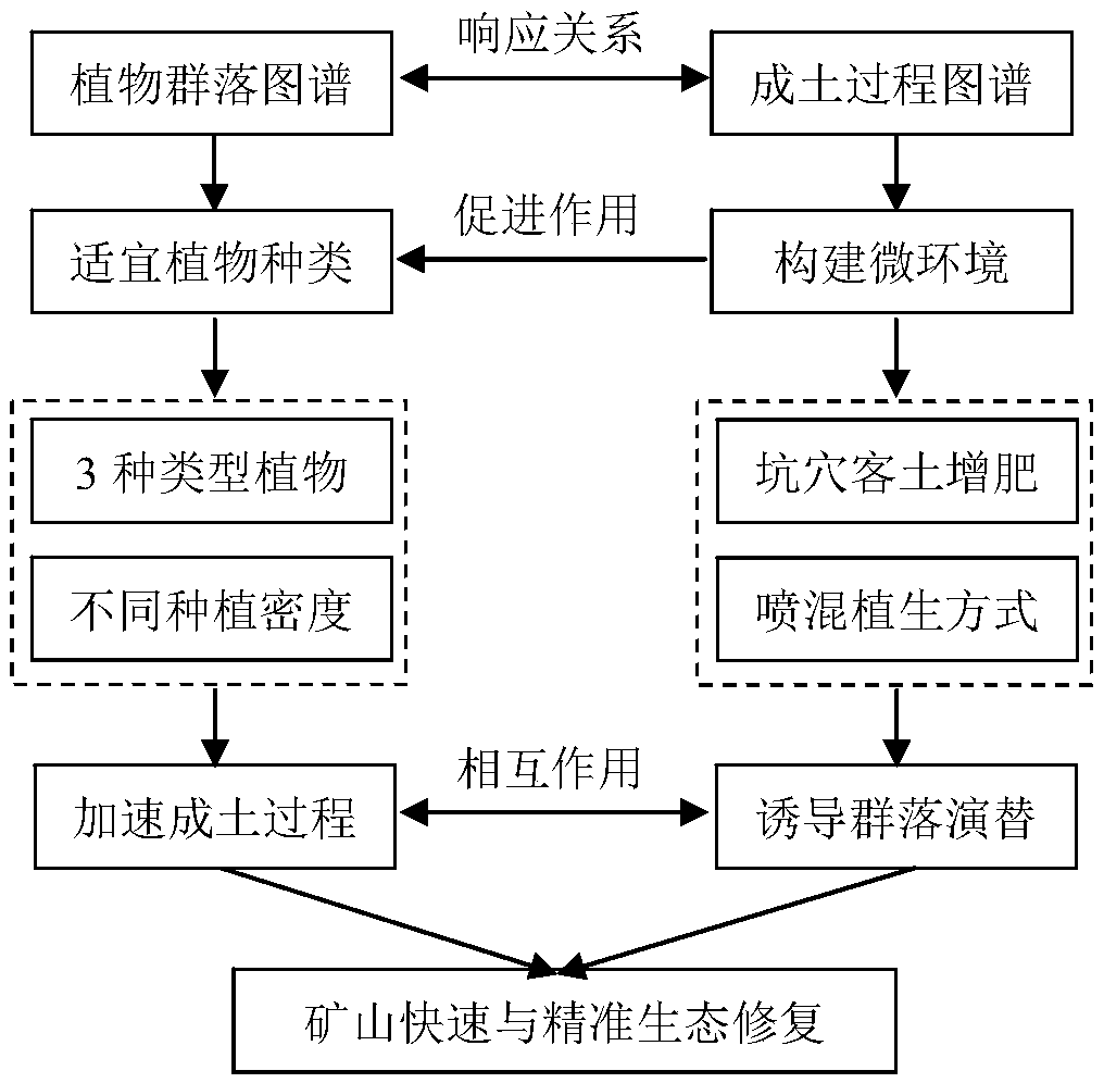 Mine ecological restoration method based on induced succession of plant communities