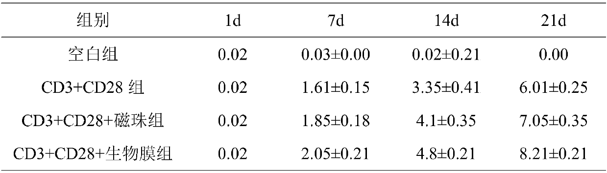 Biological film for promoting gene editing T cell activation and amplification, preparation method and application