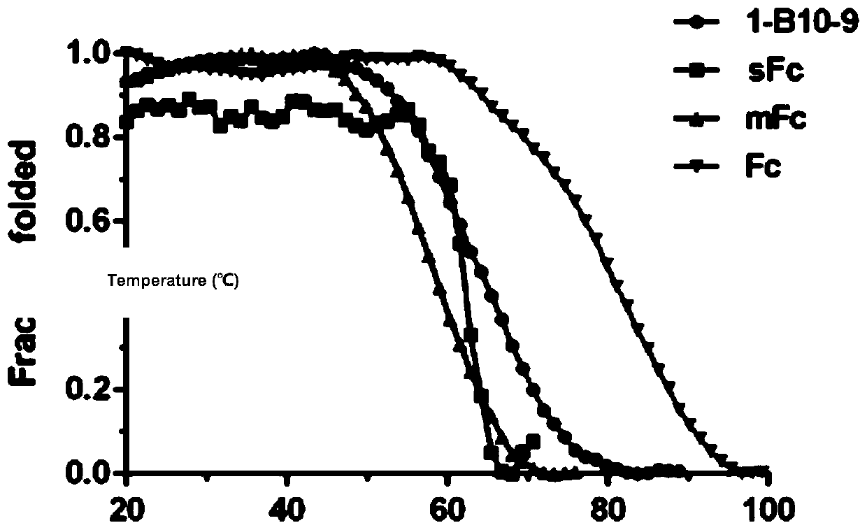 A kind of IgG1 Fc monomer and its application