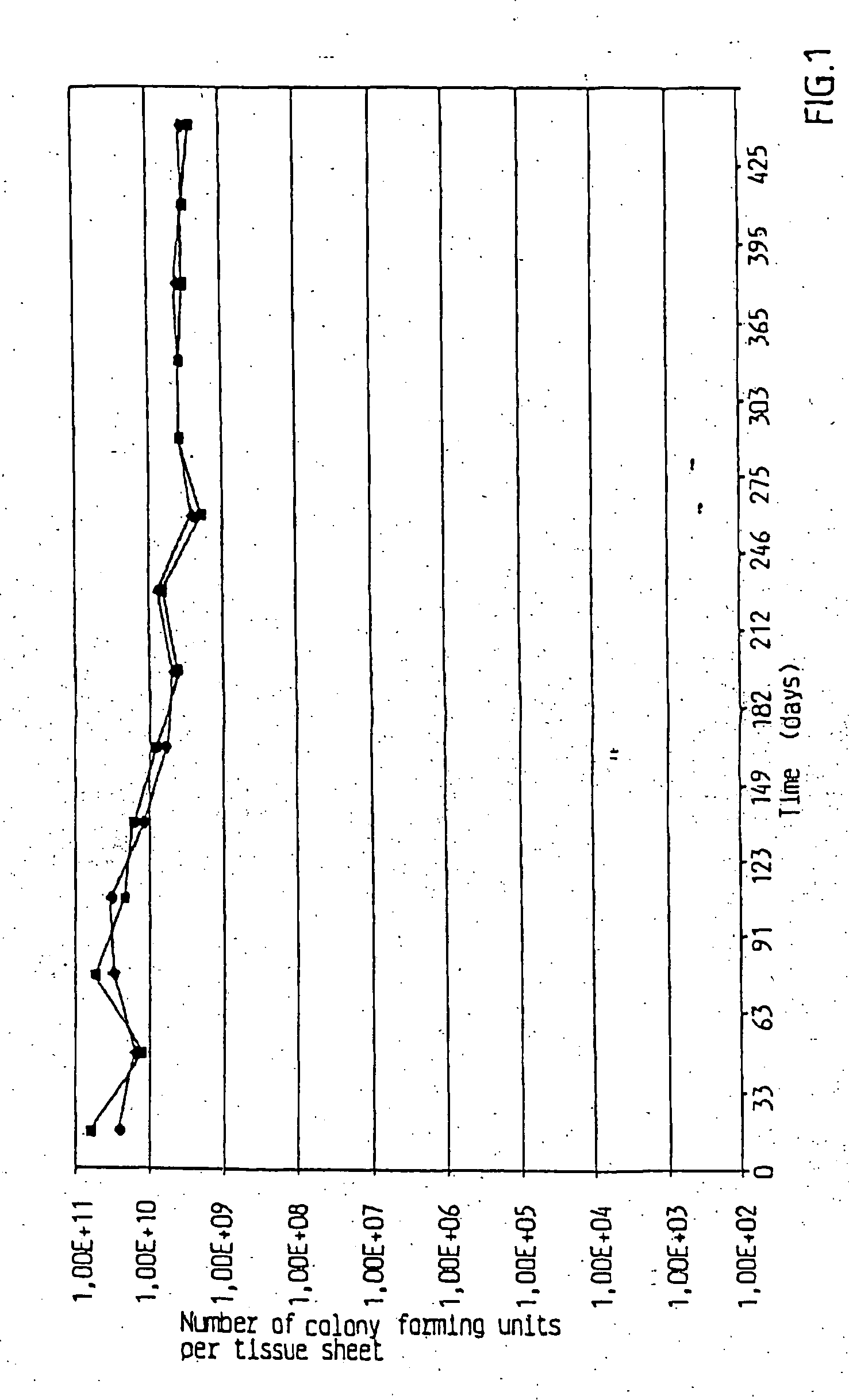 Hygiene tissue with lactic acid producing bacterial strains