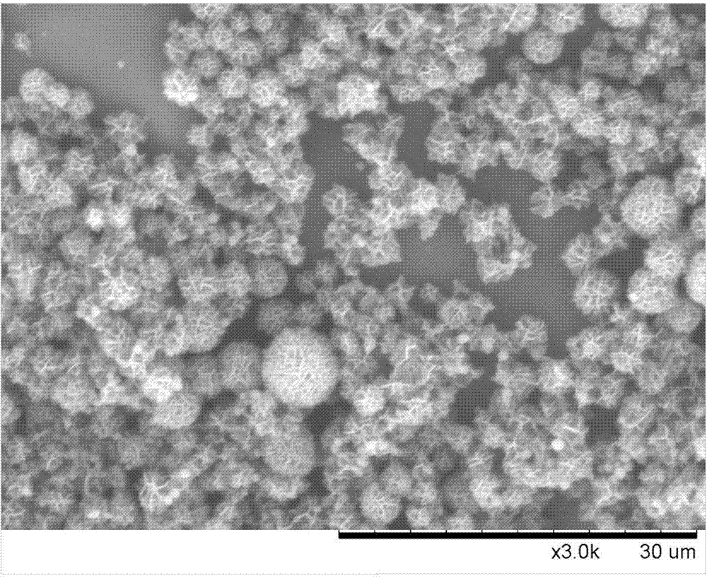 Method for preparing fullerene flower balls on surface of soft matrix
