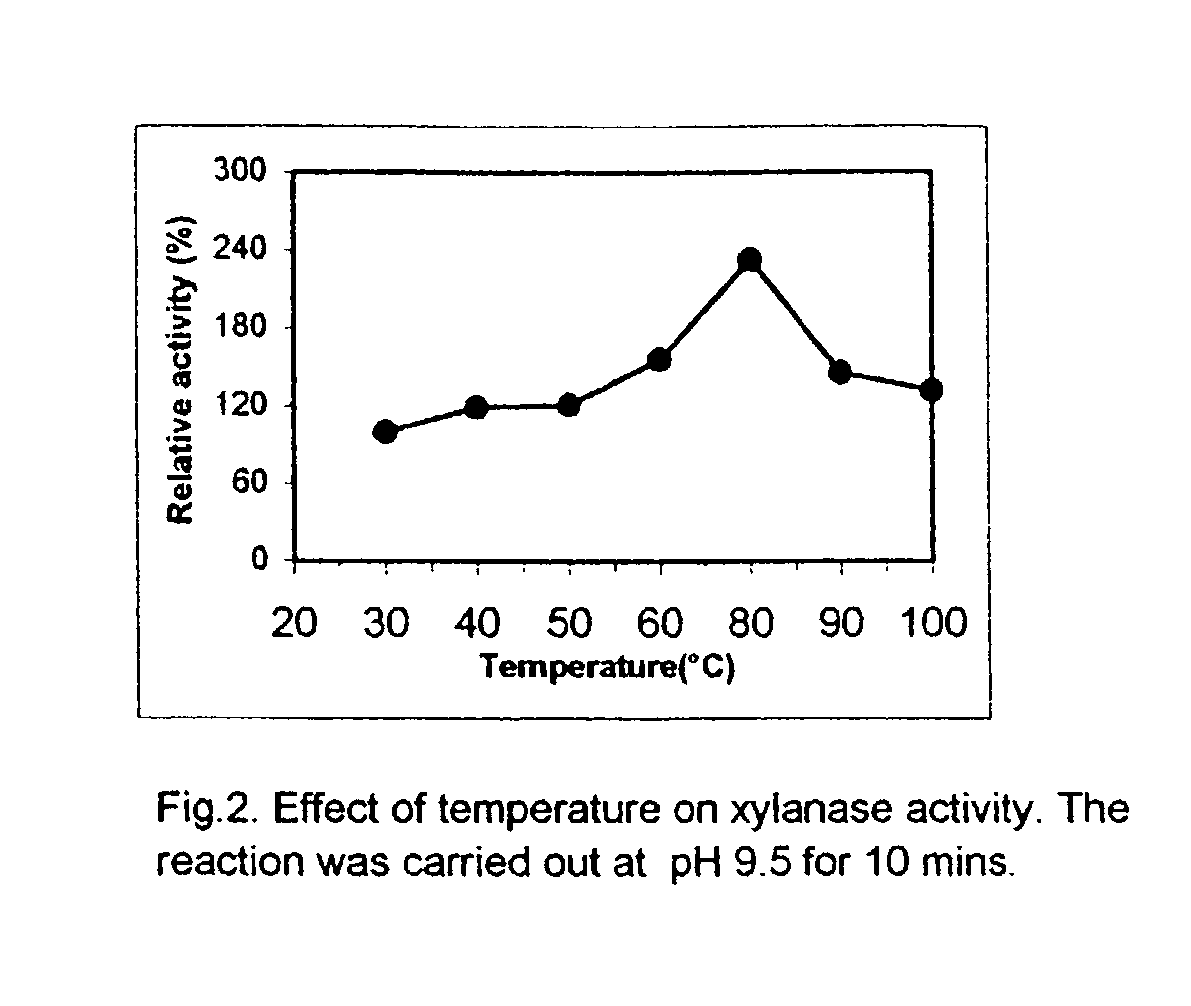 Novel 'pseudomonas stutzeri' strain and process for preparation of xylanase