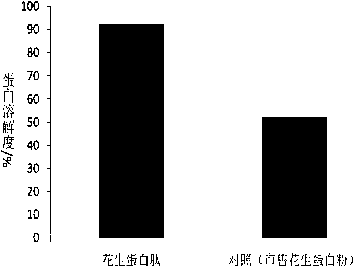 Method of degrading aflatoxin in peanut meal and synchronously preparing peanut protein peptide