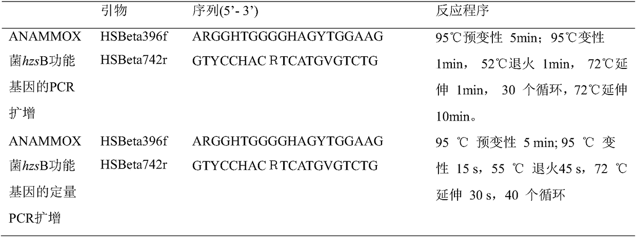 Method for enriching high density anaerobic ammonia oxidizing bacteria in sewage nitrogen removing system