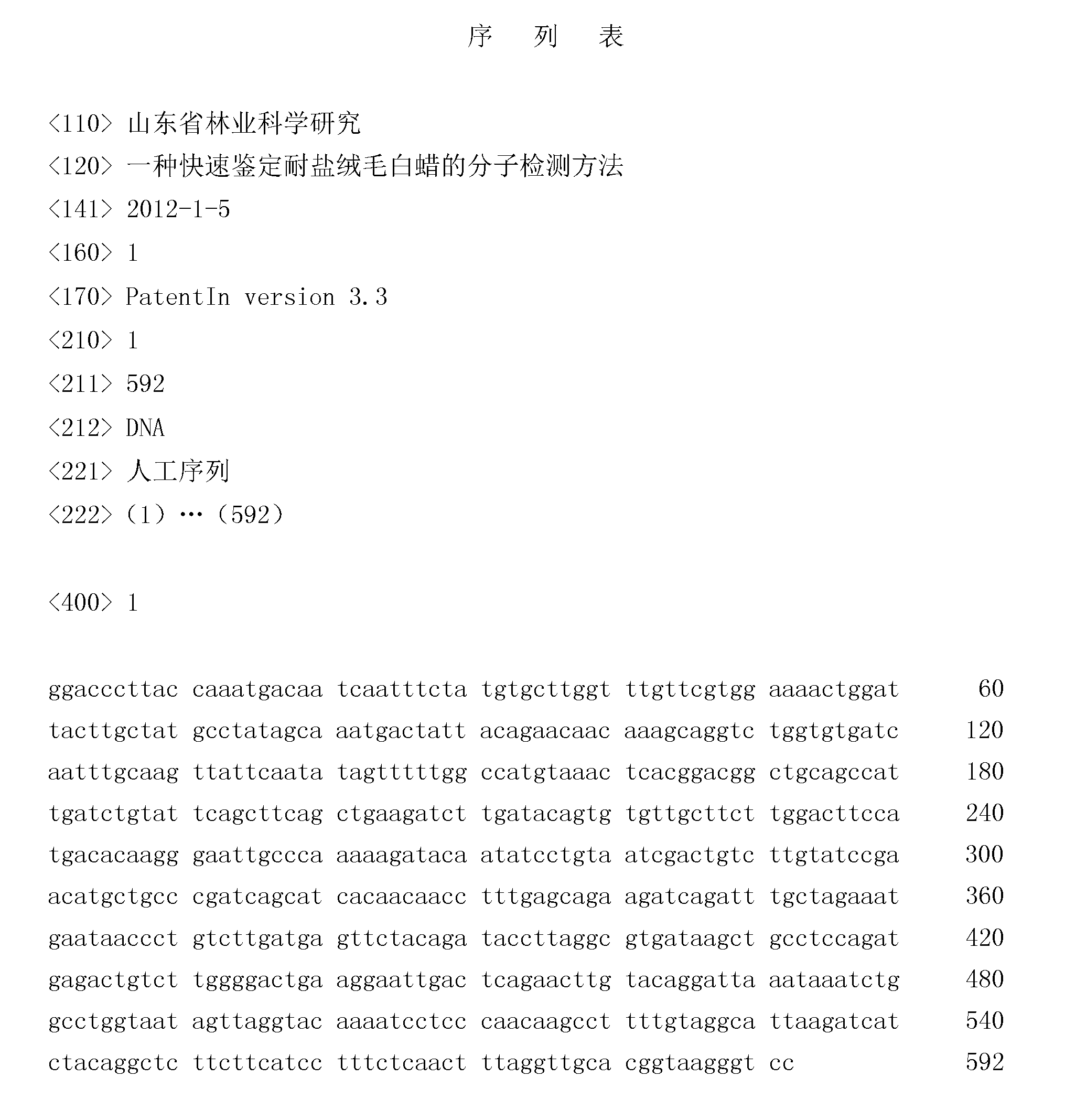 Molecular detection method for rapidly verifying salt-tolerant fraxinus velutina