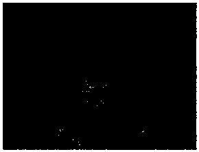 A spheroidizing process of pure magnesium for lost foam nodular cast iron