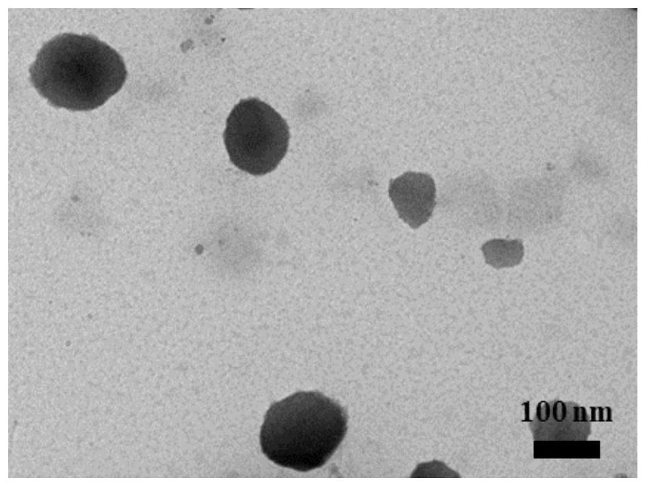 A targeted drug delivery system capable of resisting drug-resistant tumors and its preparation method