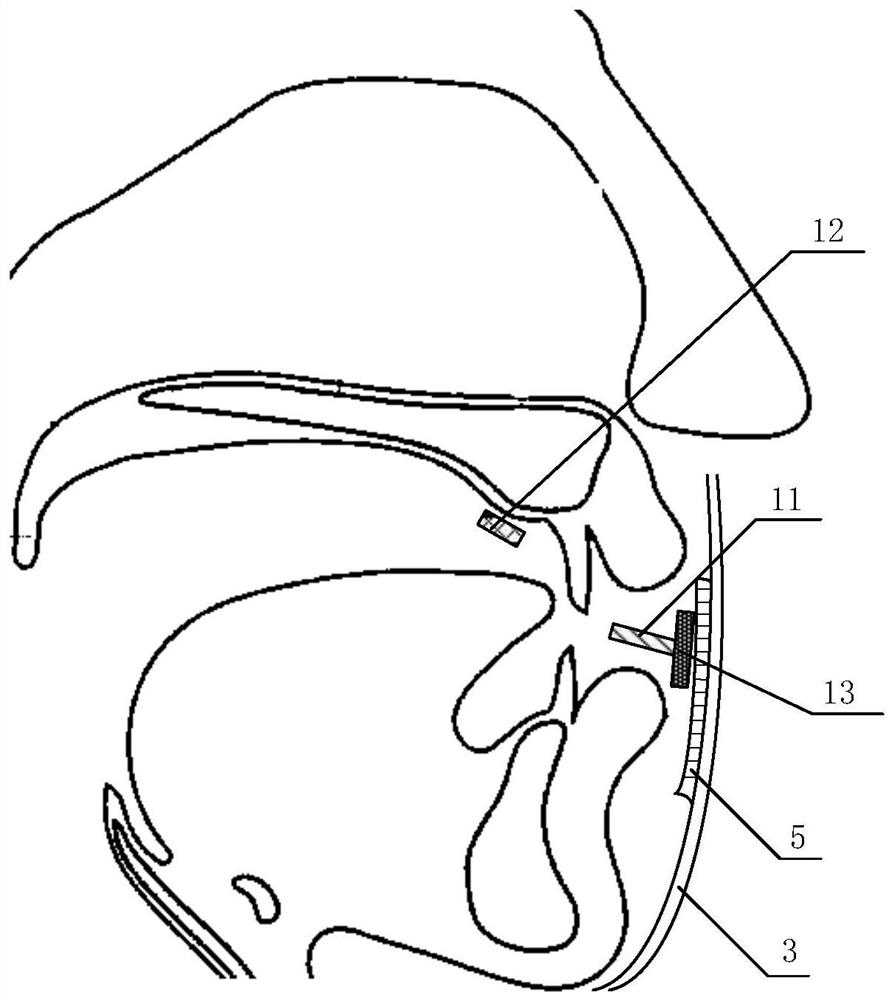 Muscle function training system and method based on precise measurement of perioral muscle force