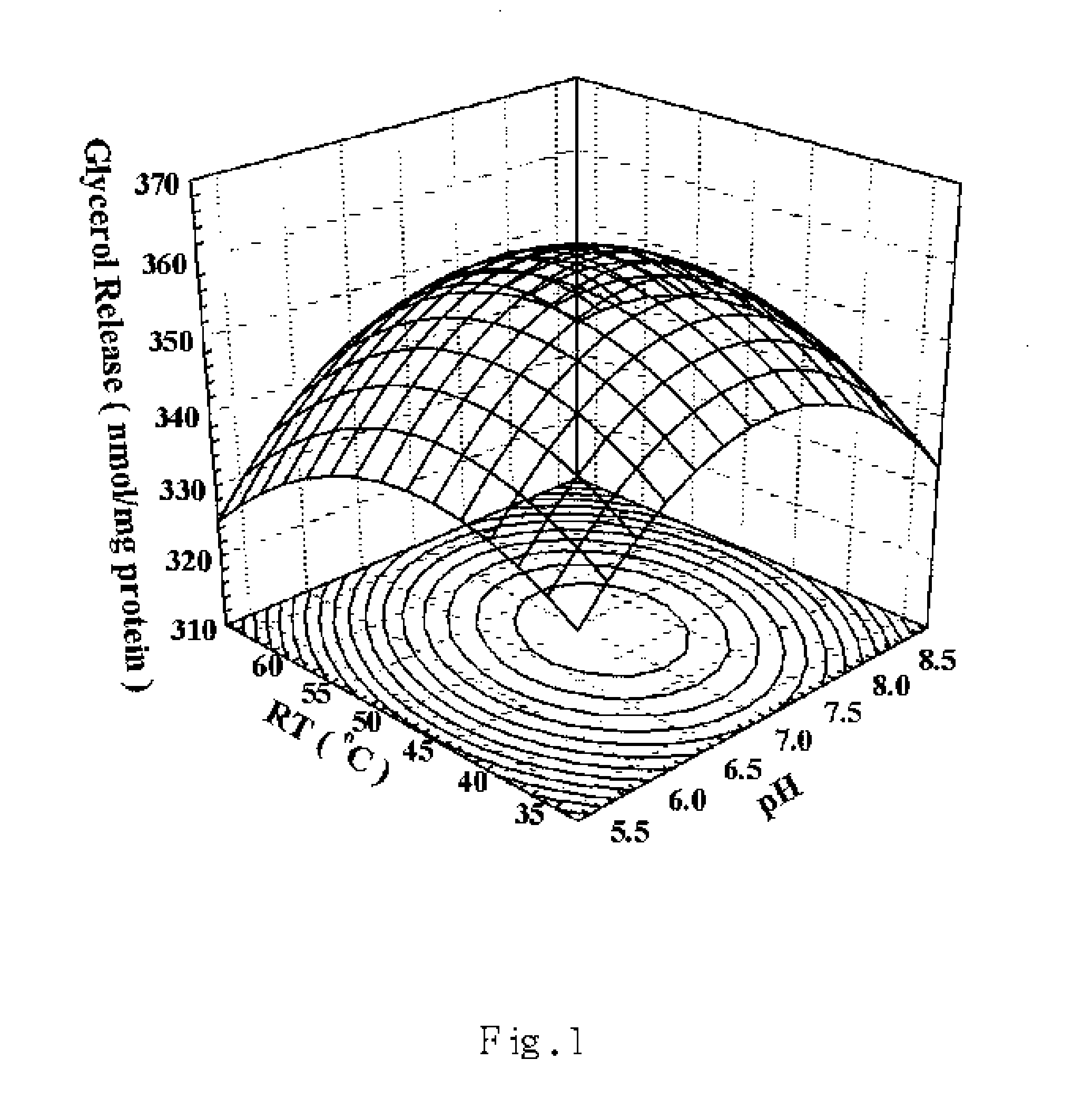 Optimal hydolysis conditions of soy protein to produce peptides with lipolysis-stimulating activity and their sequencing and use thereof