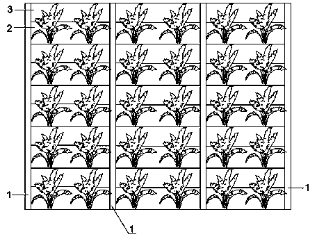 Split mounting type greening enclosing wall