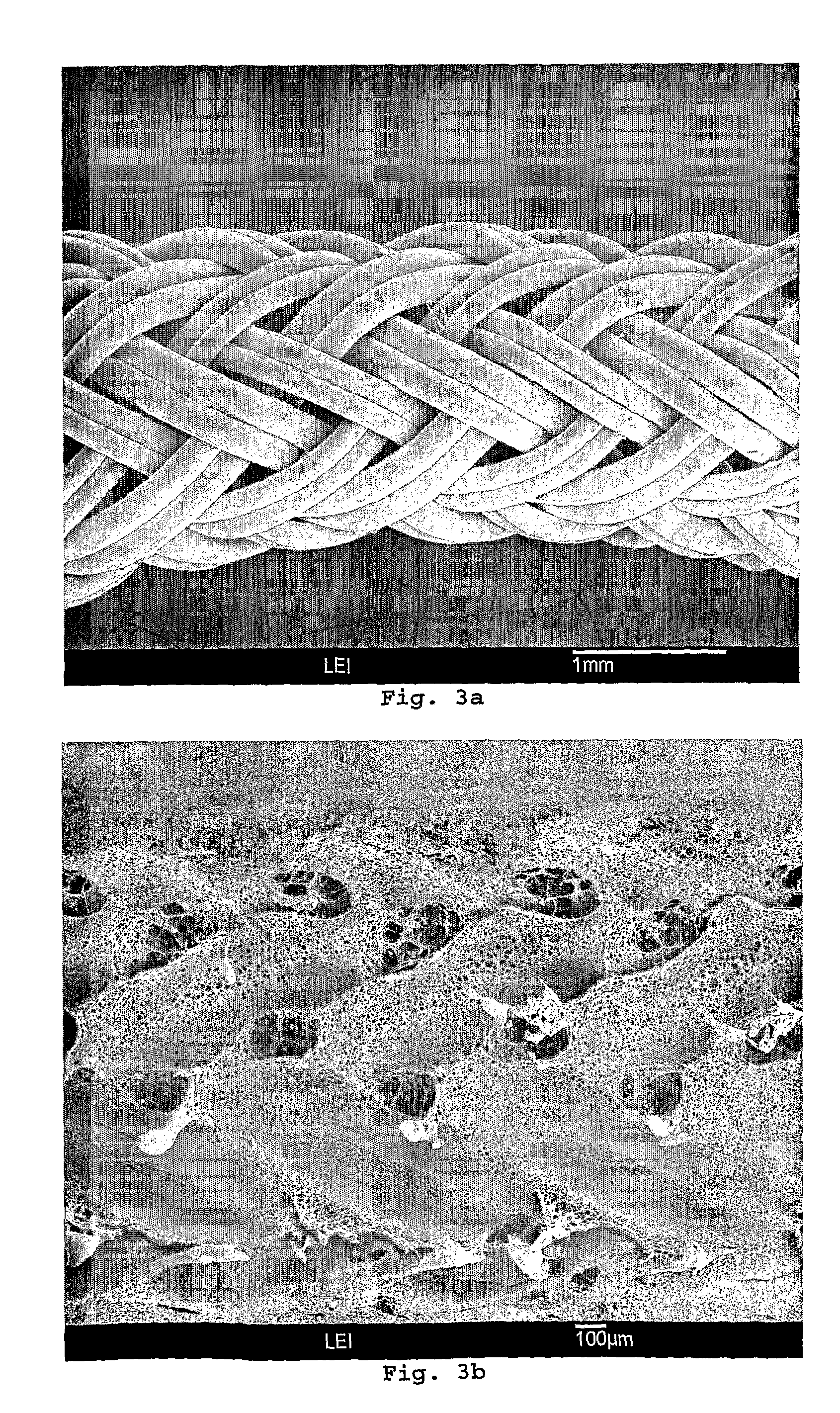 Reinforced capillary membranes and process for manufacturing thereof