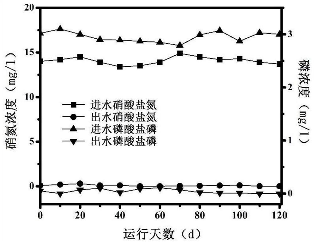 A coupling packing autotrophic denitrification biological filter and its application