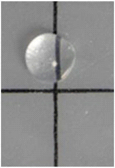 Method for producing transparent liquid marble and liquid marble and application